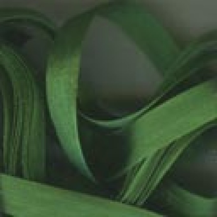 Лента цветная из натурального шелка Au ver a soie глубокий зеленый