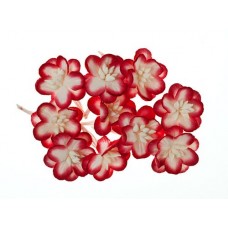 Набор цветки вишни из бумаги, упак./10 шт. красный/белый (SCB300206)